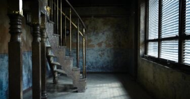 découvrez comment choisir entre kindle et kobo, les meilleures liseuses électroniques du marché, en comparant leurs caractéristiques, avantages et fonctionnalités pour trouver celle qui vous convient.